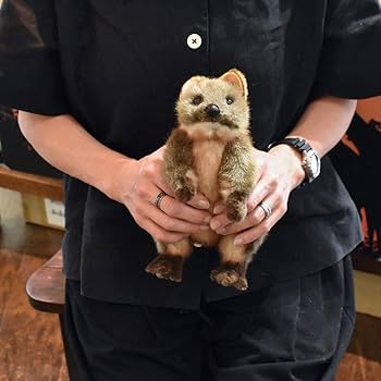 クォッカのスキッピー シュタイフ ぬいぐるみ 動物 クォッカ ワラビー キッズ Amazon.co.jp: クォッカのスキッピー シュタイフ 動物 クォッカ